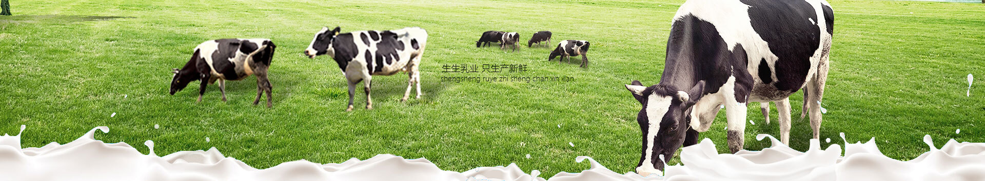 洛陽訂奶_酸奶代理_酸奶招商_牛奶品牌-生生乳業