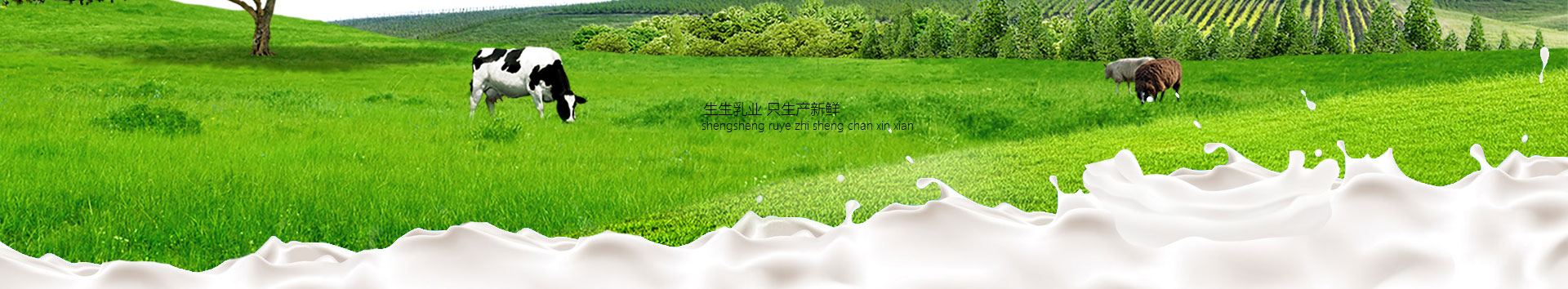 洛陽訂奶_酸奶代理_酸奶招商_牛奶品牌-生生乳業